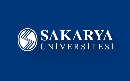 Wiley Yazar Çalıştayı